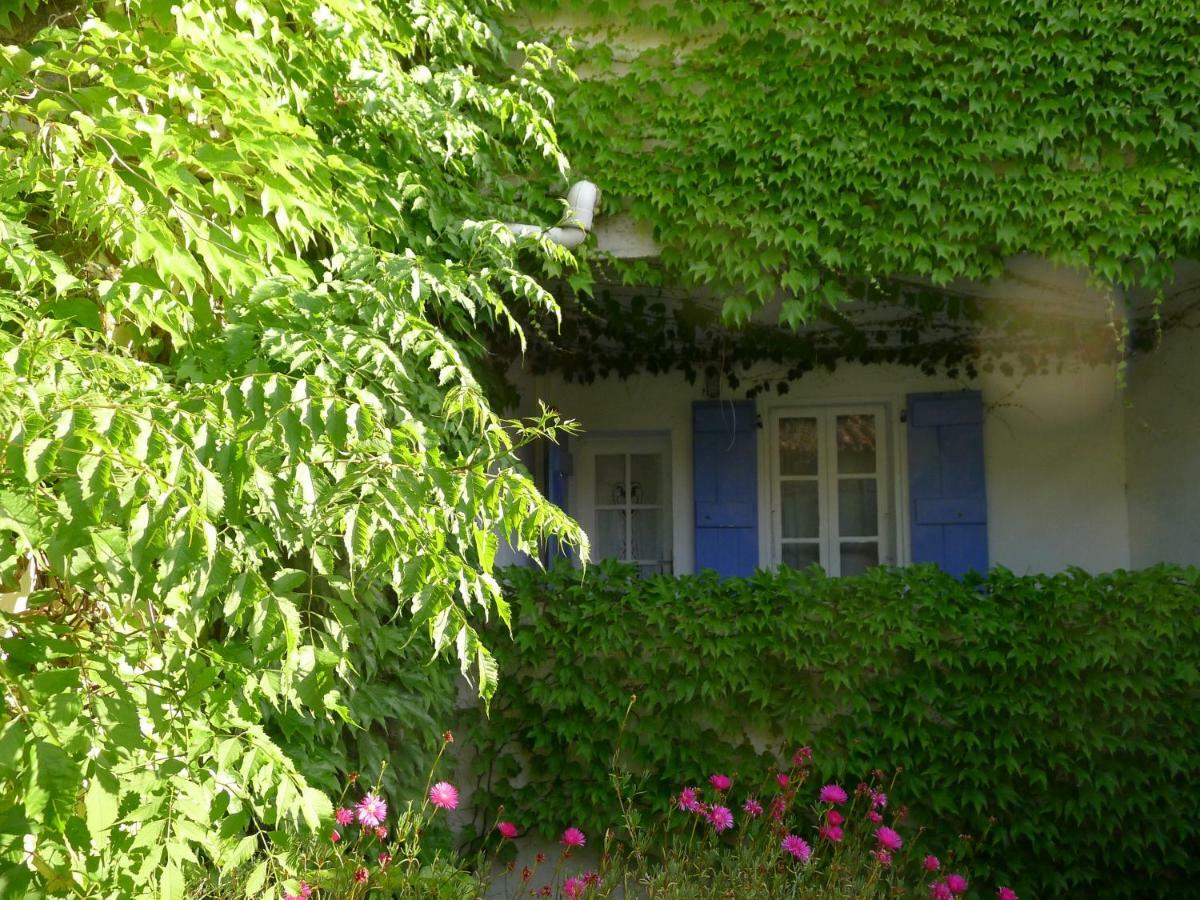 Coq Hotel Cogolin Zewnętrze zdjęcie